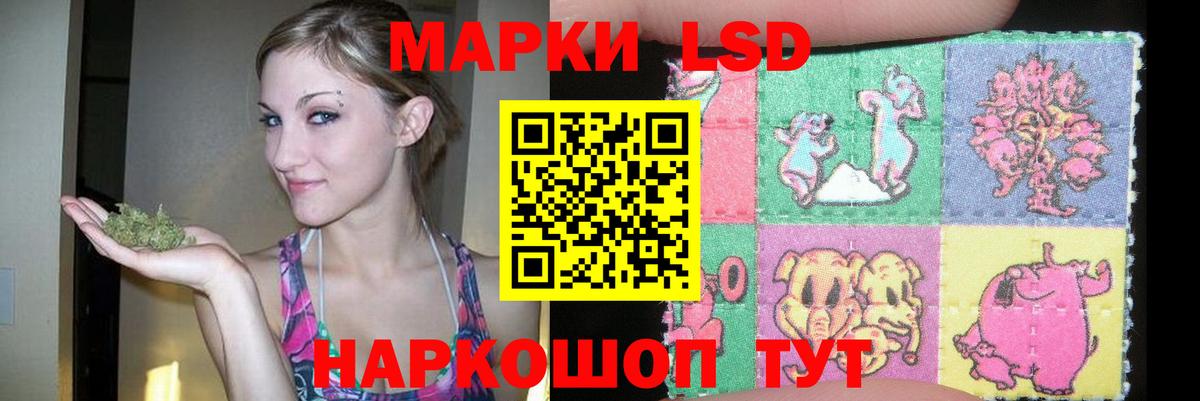 Борзя  LSD-25 экстази кислота  Вход с VPN  LSD-25 экстази кислота 