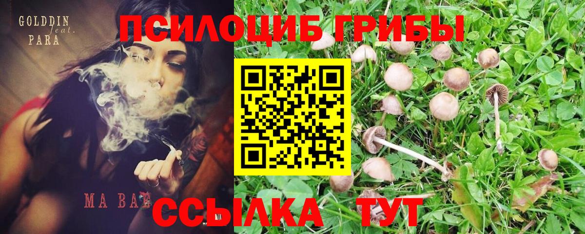 Галлюциногенные грибы мухоморы  Вход с VPN  Борзя 